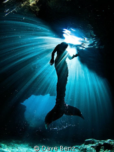 I ever thought that mermaids are not real...so what ??? by Dave Benz 